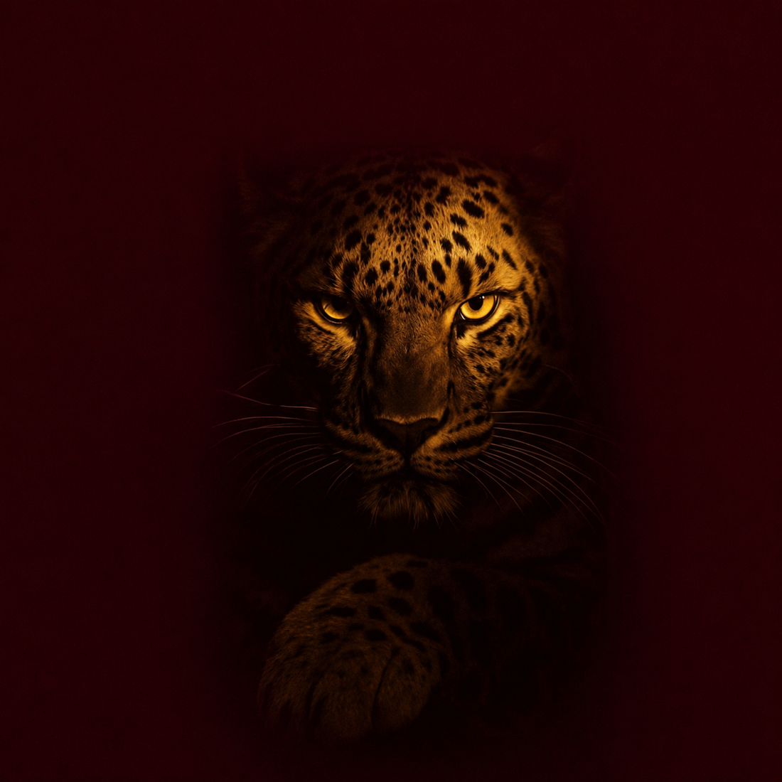 Onça arquetípica cercada de vermelho vinho